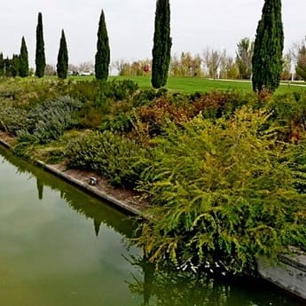 Itinerario Ornitológico Parque Juan Carlos I