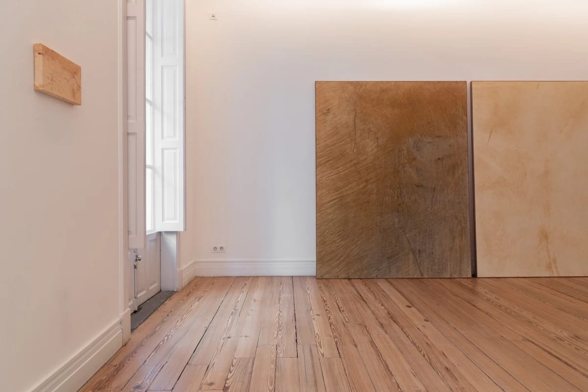 Inauguración de la exposición A Hierro de Irene Grau