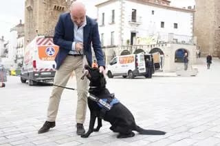 Thor, el perro policía que detecta droga en Cáceres, se jubila en Womad