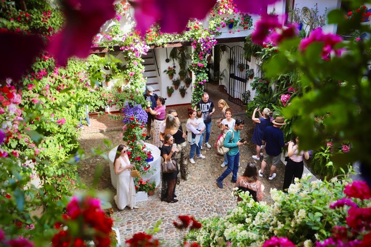 Los ganadores del concurso de Patios de Córdoba 2025