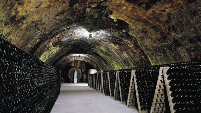 Ruta del vino y el cava