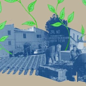 Llavors. Van voler soterrar-nos peró no sabiem que érem llavors