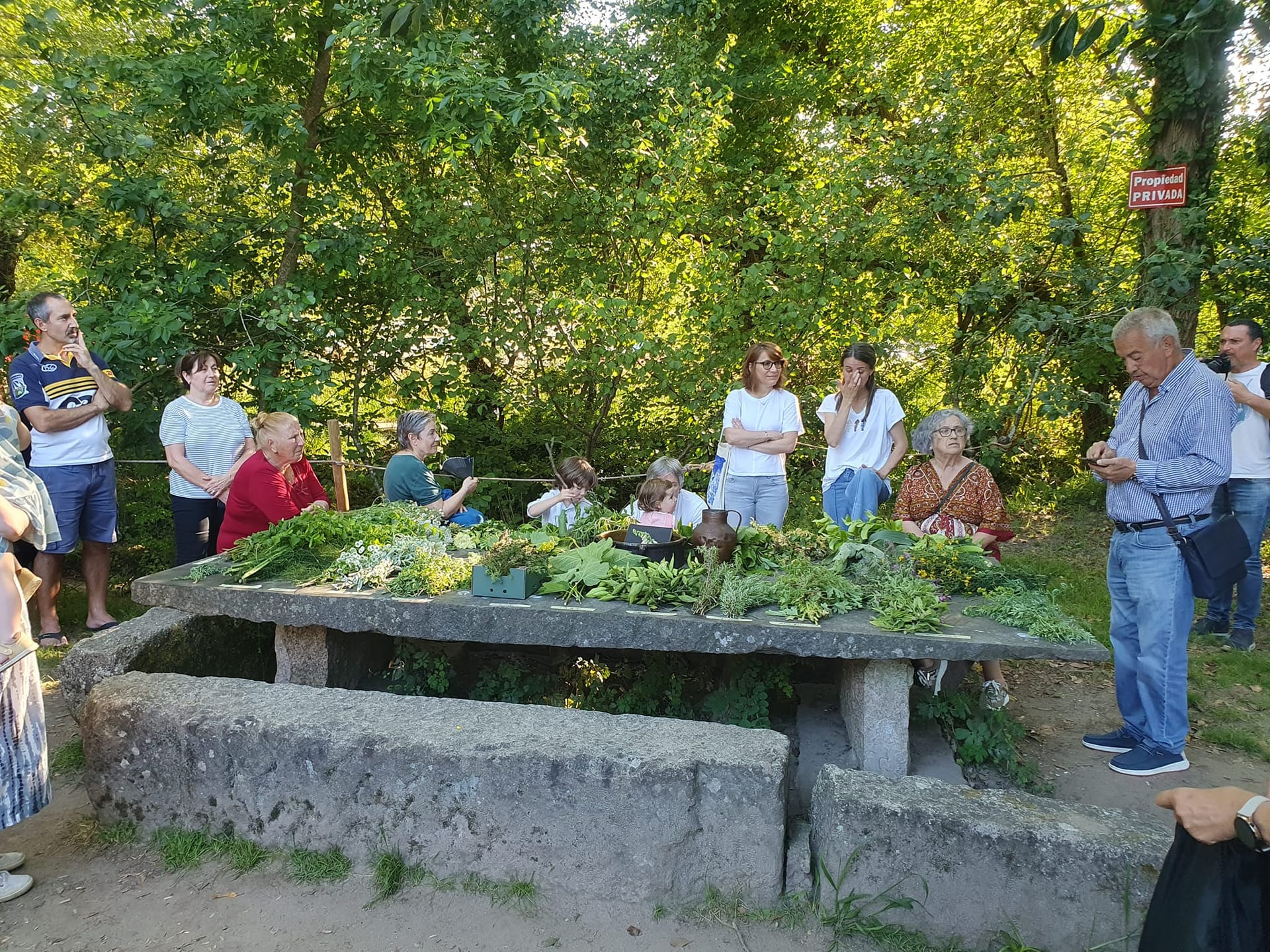 Caminatas para recoger las hierbas de San Xoán