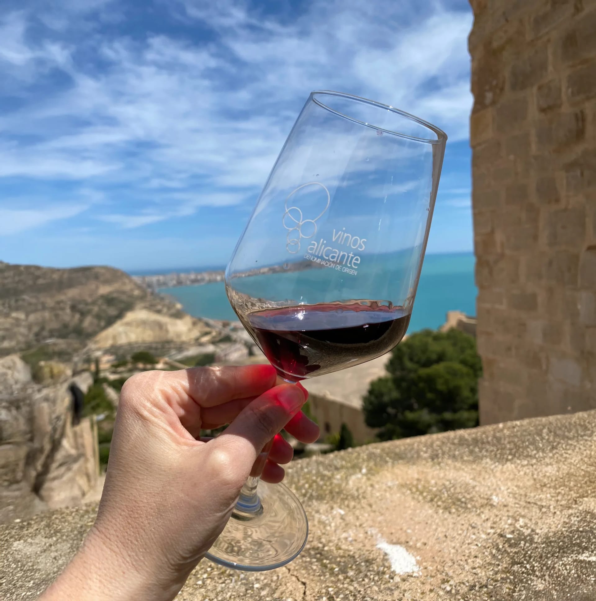 Degustación de 3 vinos PREMIUM (+92 PK) acompañados de tapas y aceite alicantino