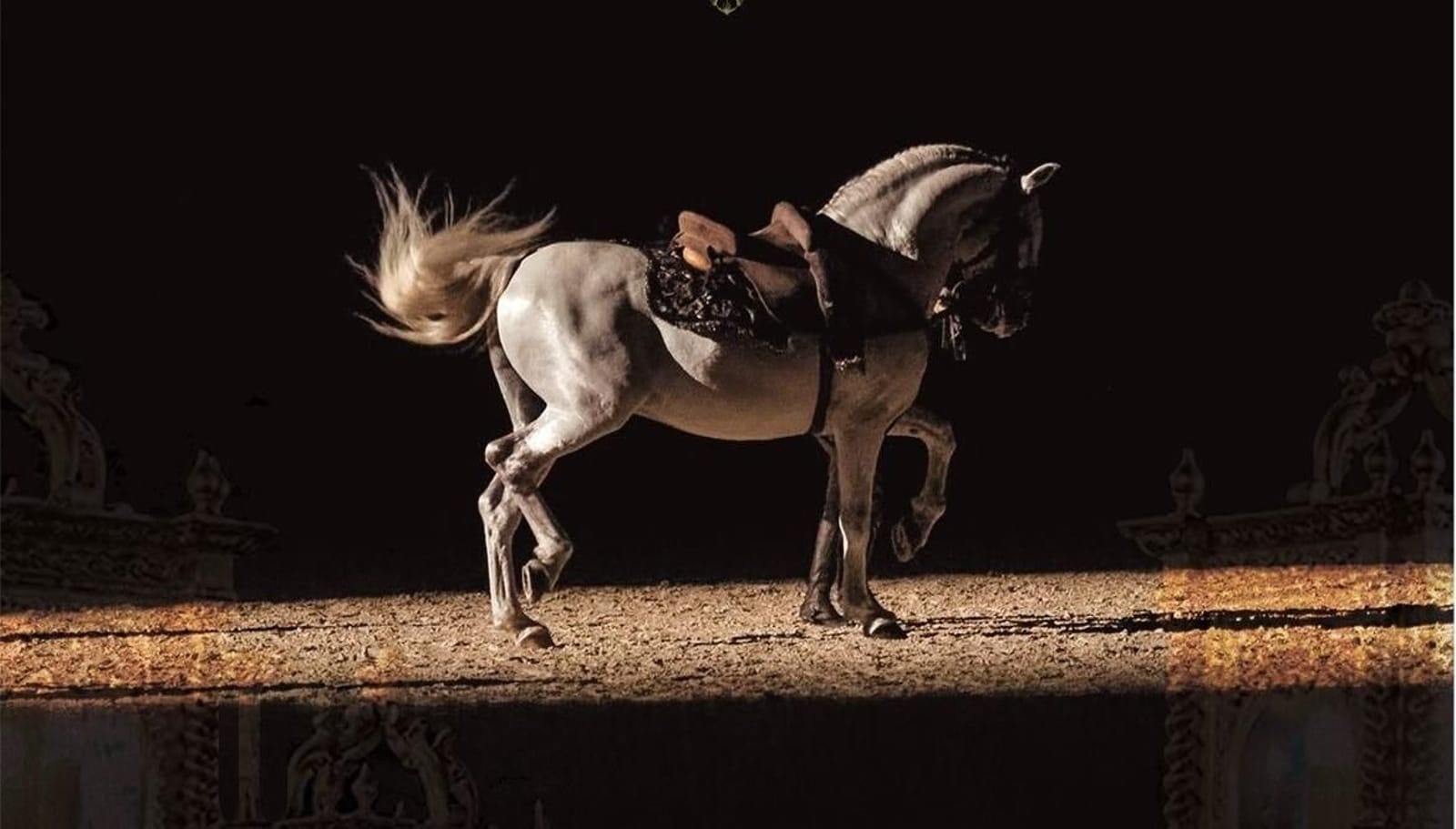Exhibición «Cómo bailan los caballos Andaluces»