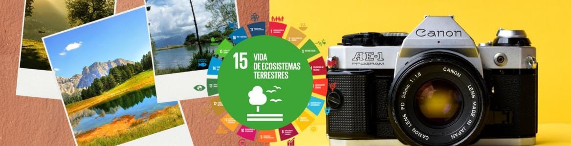 Paisajes: concurso fotográfico por el Día Mundial del Medio Ambiente