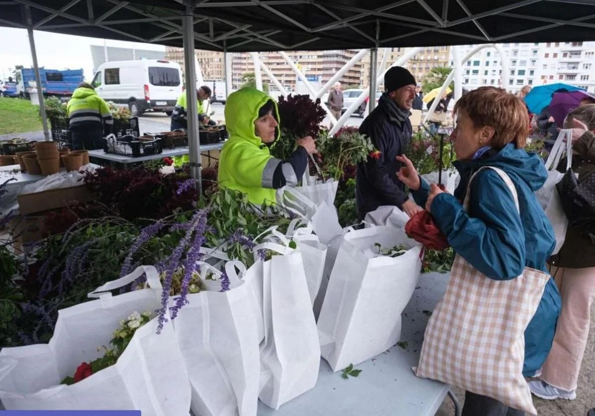 Reparto gratuito de flores y plantas