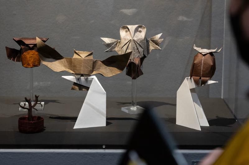 Origámico de Riccardo Foschi