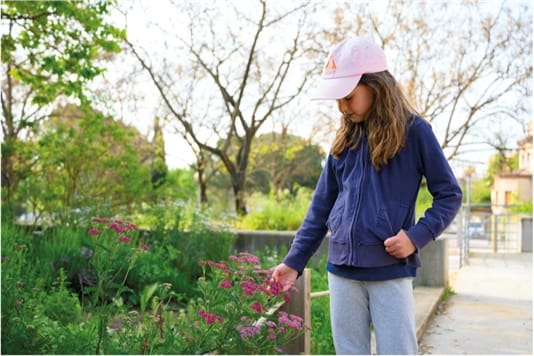 Jugateca: Plantes aromàtiques