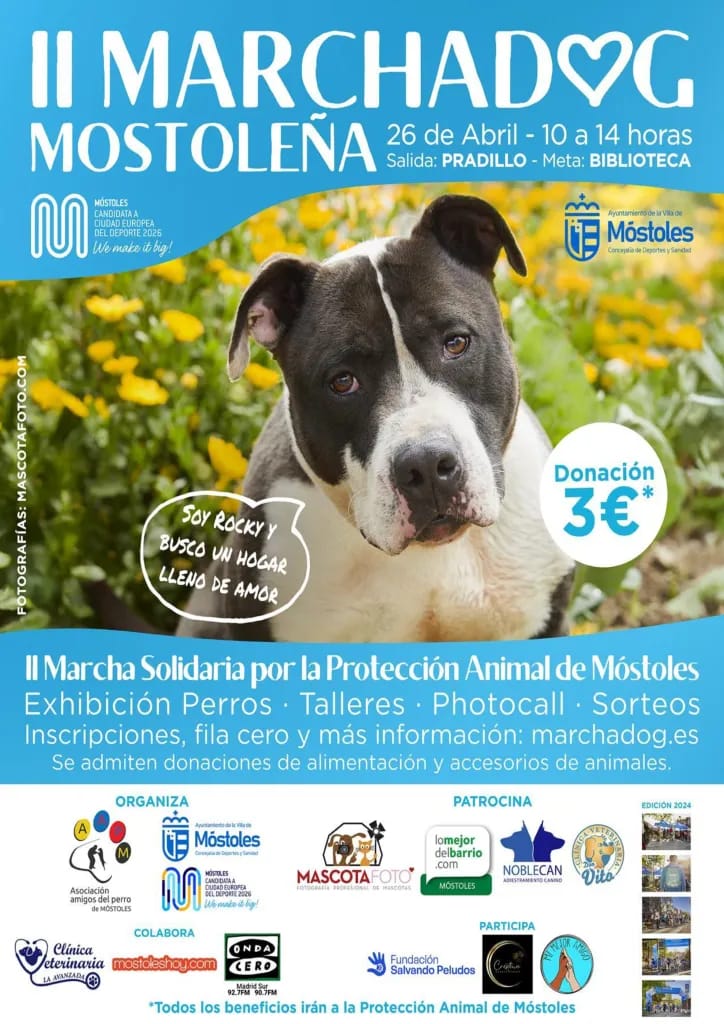 II Marcha Dog solidaria