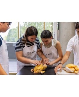 Colonias Gastronómicas de Cocina y Alimentación Saludable para Jóvenes