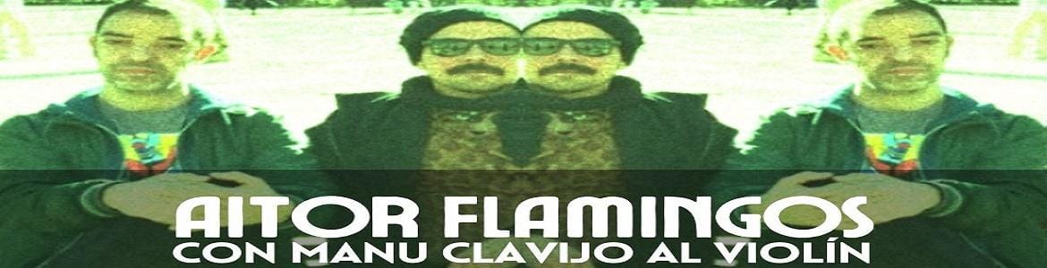 Concierto de Aitor Flamingos