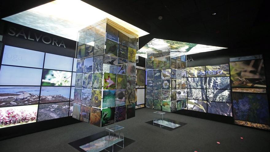 Museo das Illas Atlánticas