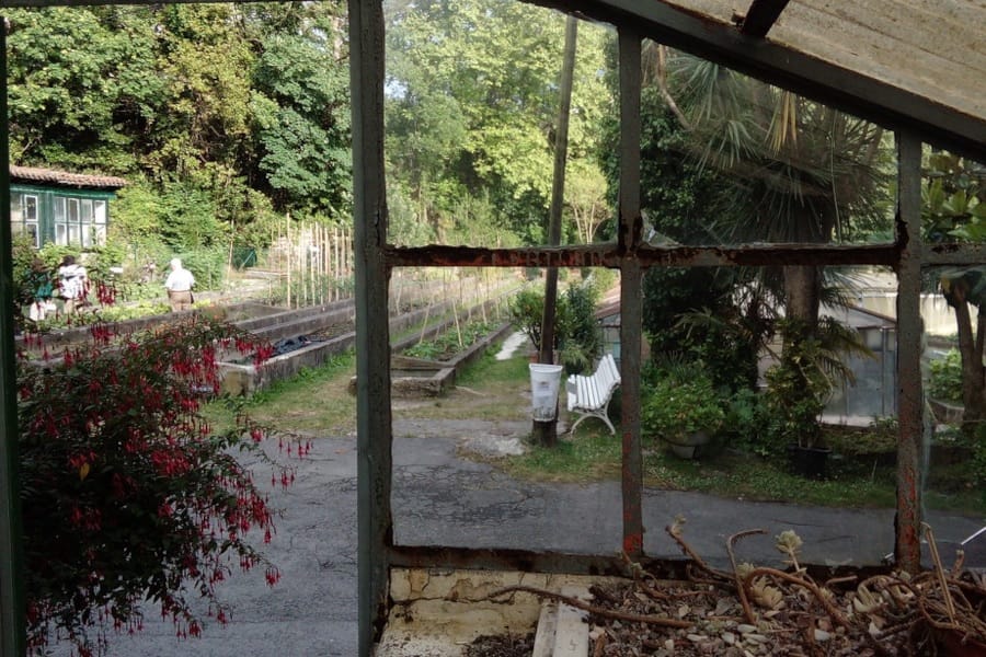 Visita Parque Municipal Viveros de Ulia