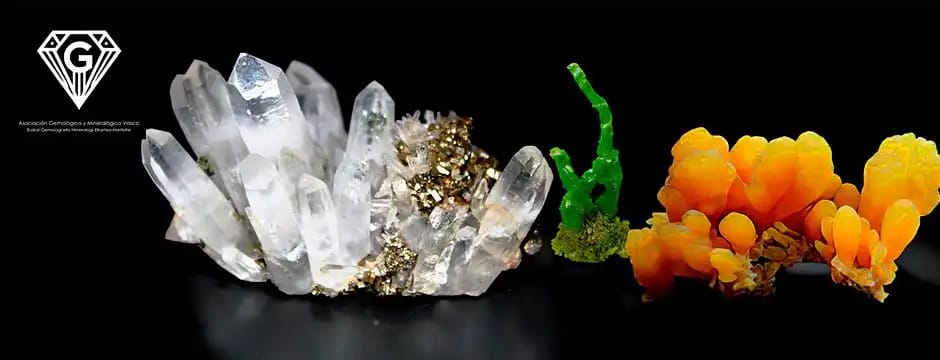 XXXI Bolsa-Exposición de Minerales, Gemas y Fósiles