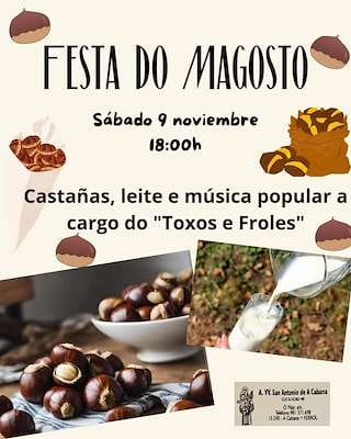 Magosto de A Cabana
