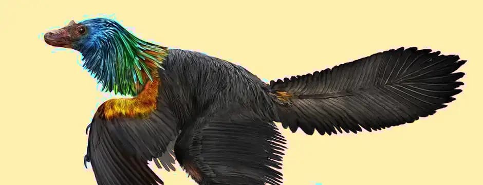 Taller 3Ps: picos, patas, plumas