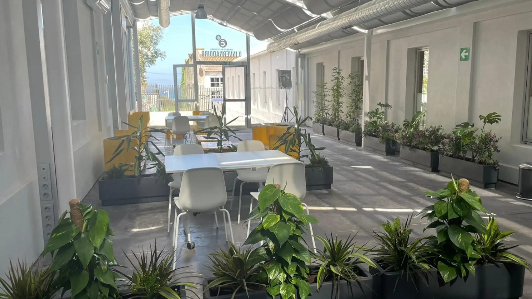 Podcast 'Fuera de Guión': El juego en línea y sus fronteras