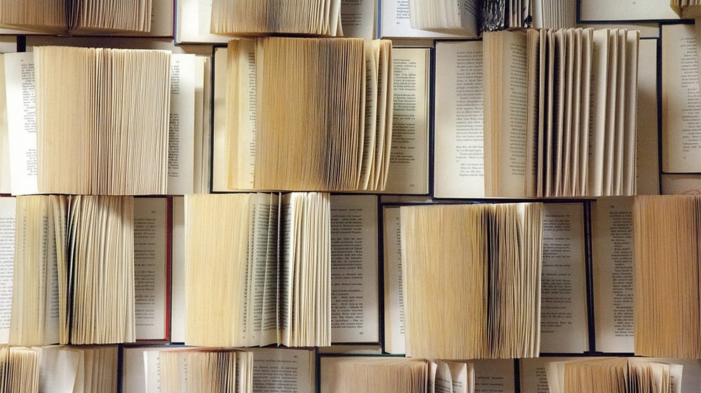 «La belleza del marido» de Anne Carson