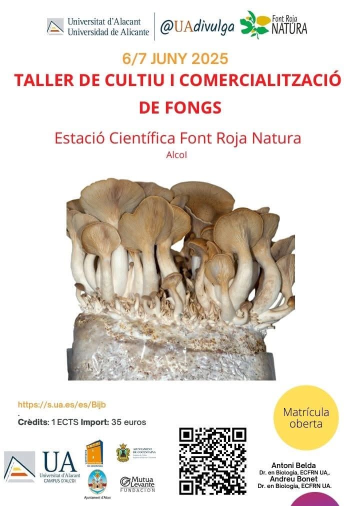 Taller de cultivo y comercialización de hongos