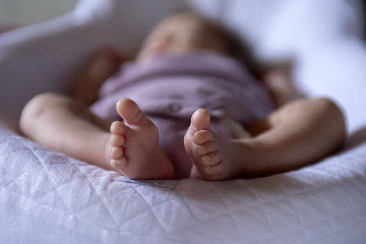 Arrolar, coa Fundación Legar