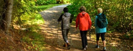 Senderismo por los parques periurbanos: Mendiola