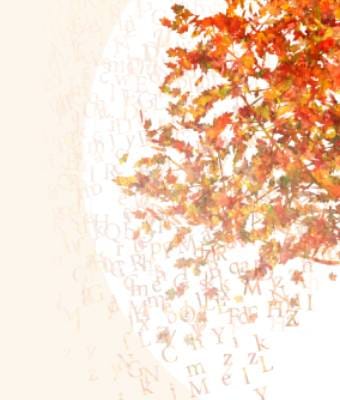 Cita con la poesía: “Encuentro con Neus Aguado, Tere Irastortza e Isabel Marina