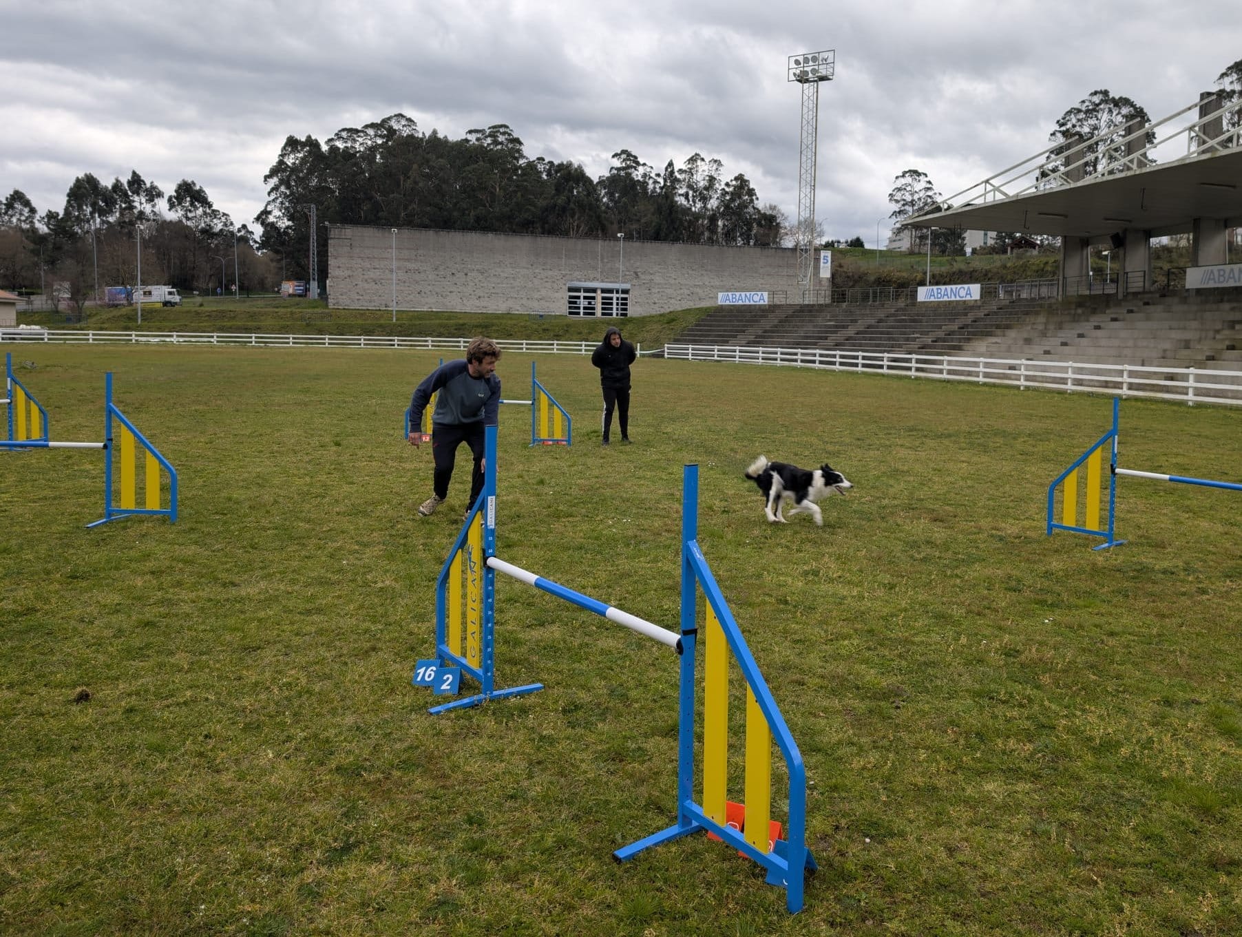 Seminario de agility