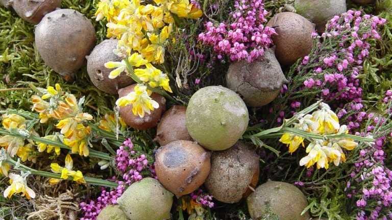 Ruada con cabezudos y gigantes