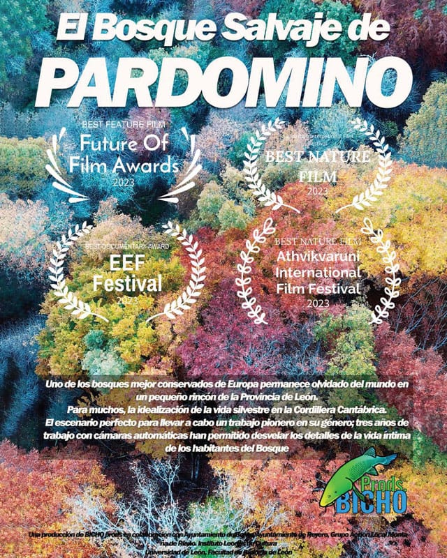 El Bosque Salvaje de Pardomino