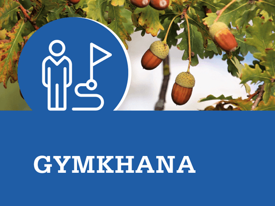 Yincana familiar Árboles