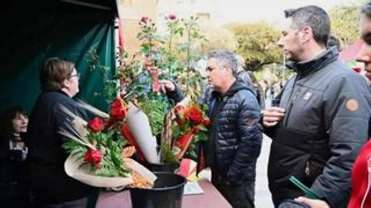 Diada de Sant Jordi 2025