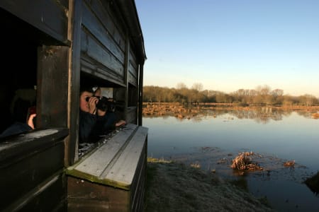 Recorrido naturalístico: Salburua y sus aves