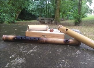 A Música da Natureza