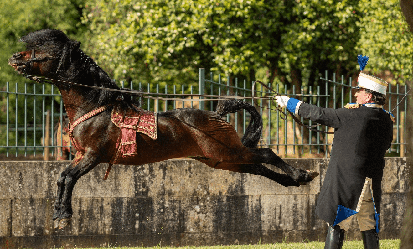 Feria caballar de la Ascensión