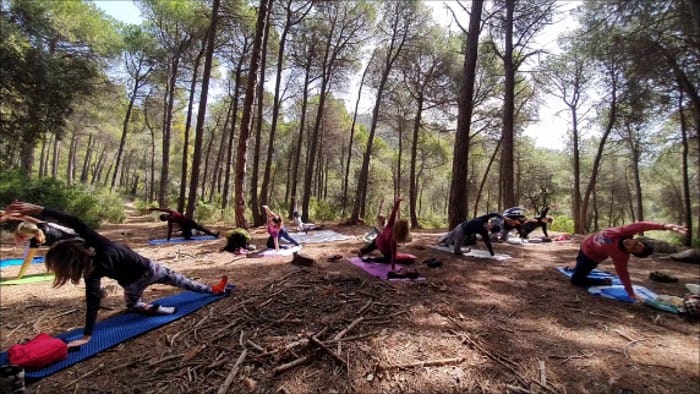 Yoga y Naturaleza, la combinación perfecta