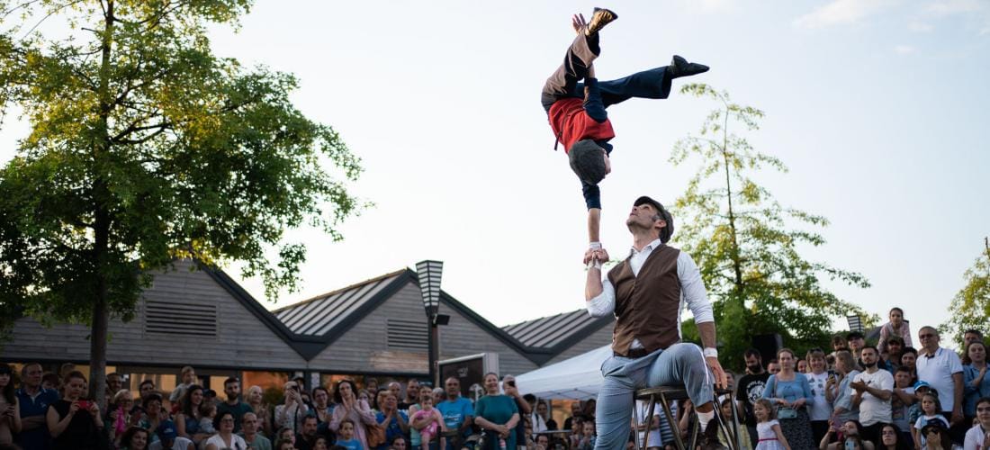 FESTIVAL C · OVELLA NEGRA