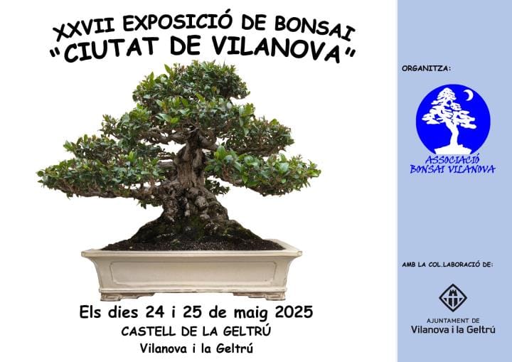 XXVII Exposició de Bonsai Ciutat de Vilanova