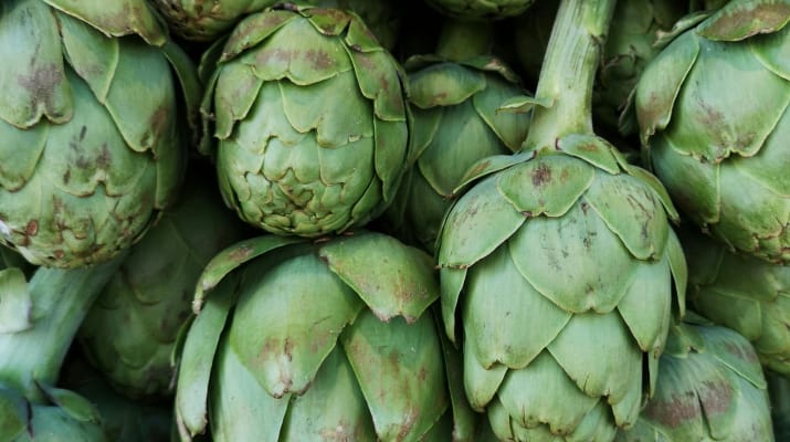 Exposició: Alimentació Saludable i Sostenible