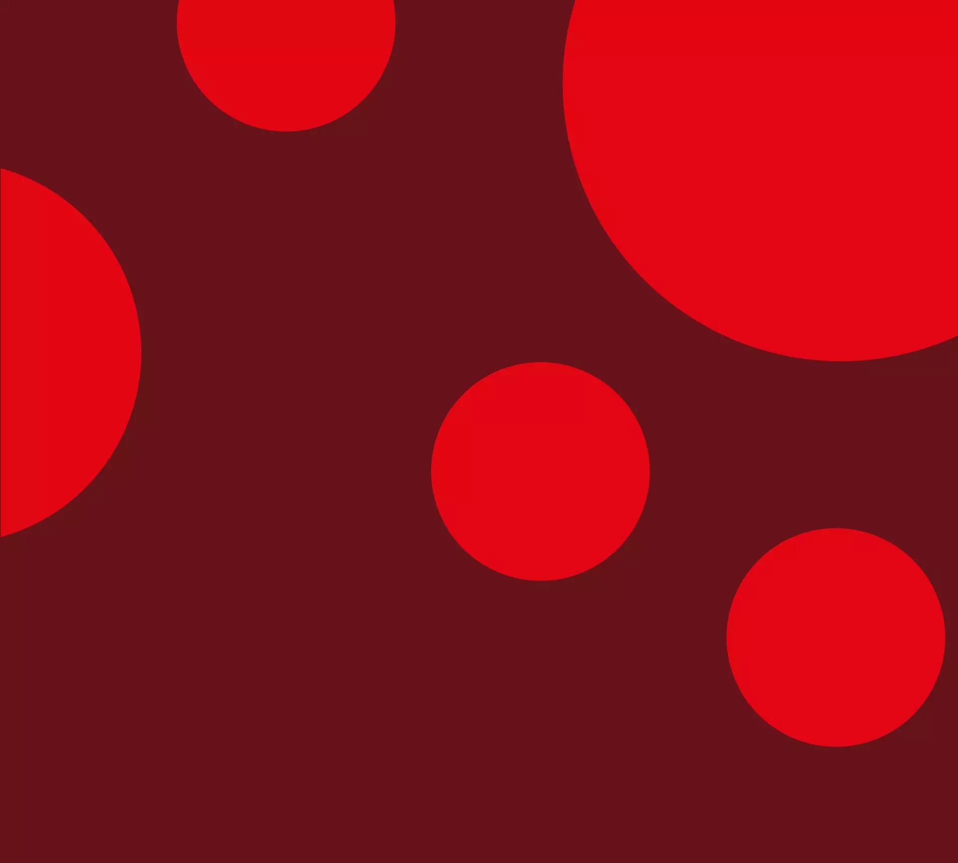 Noche de Flamenco Show