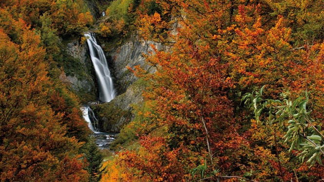 La transformación otoñal