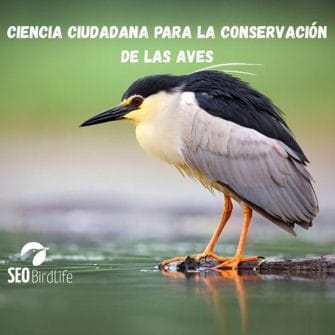 Ciencia ciudadana para la conservación de las aves