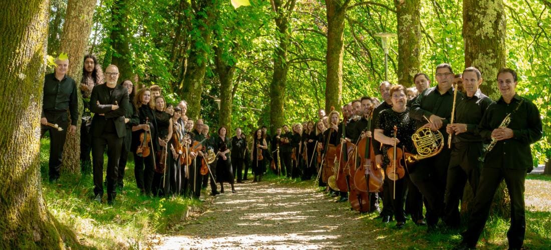 RFG · Selección Novo/a Director/a Asistente