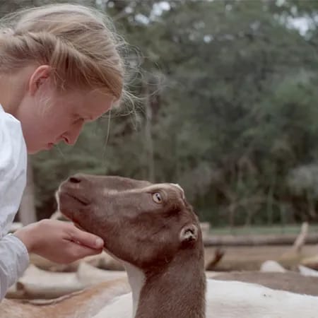 Stop the Pounding Heart