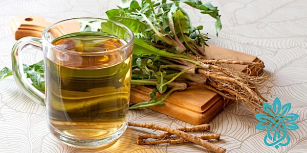 DEPURACIÓN NATURAL CON PLANTAS MEDICINALES ✨