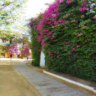 Visita al Palacio de las Dueñas