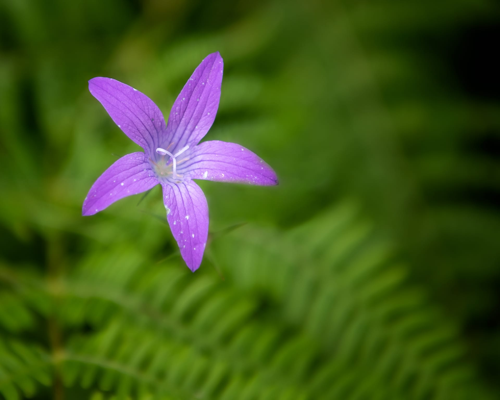 Taller de fotografía de aproximación