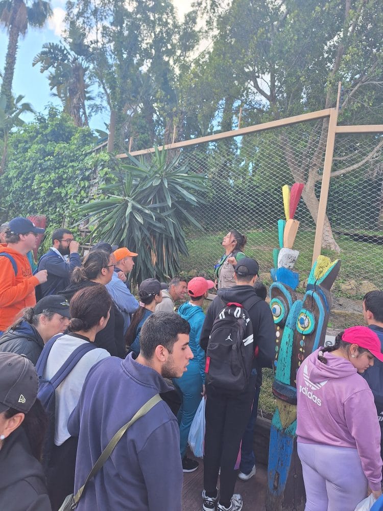 Aspandem en Selwo Aventura