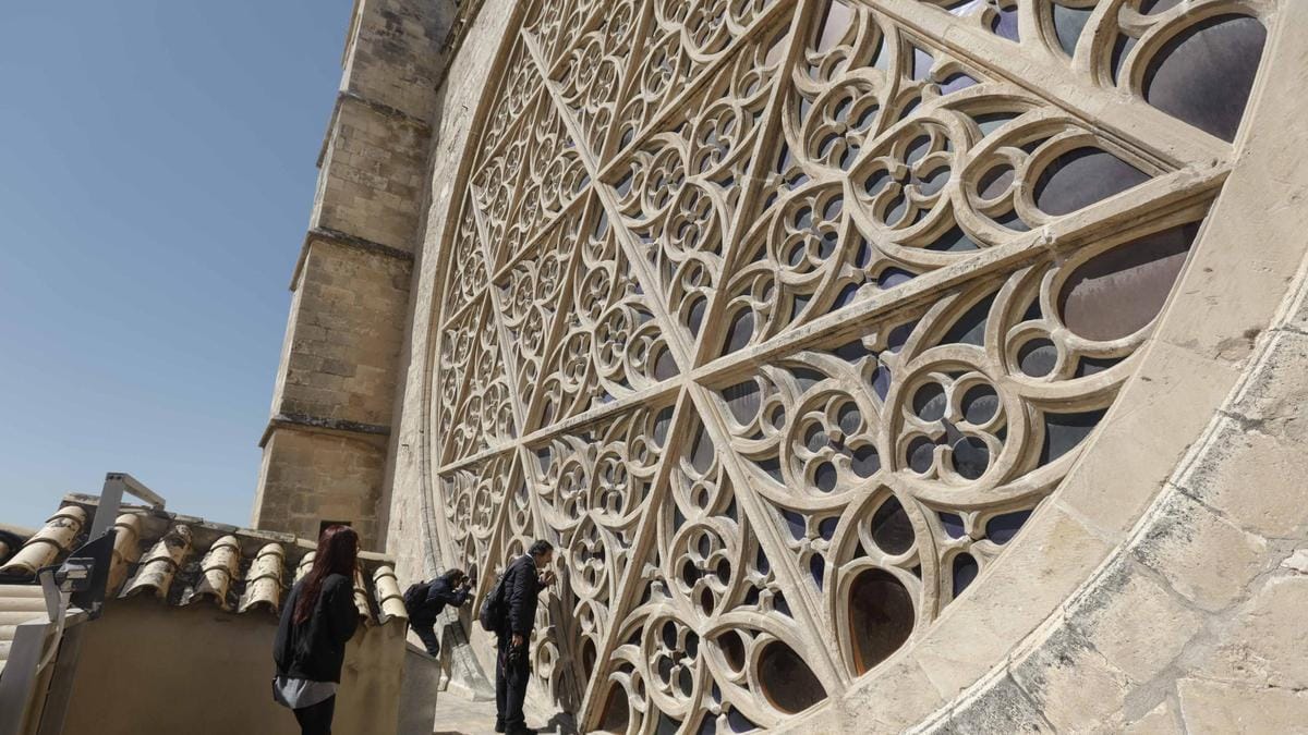 Visitas a las terrazas de la Catedral de Mallorca