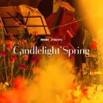 Candlelight Spring: Ed Sheeran vs Coldplay